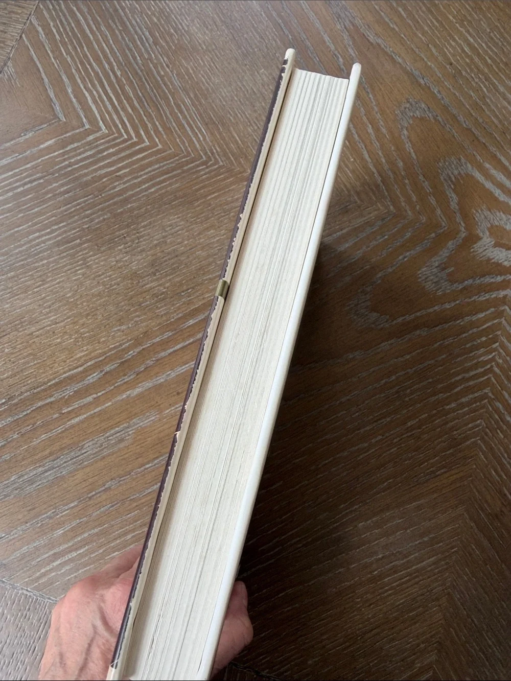 Angela's Ashes Hardcover Memoir - Cream & Brown